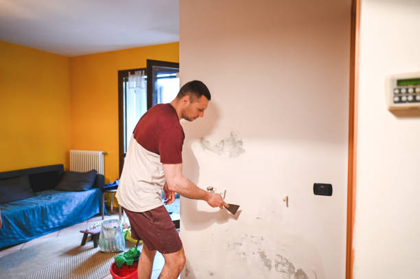 Best Mold Damage Repair  in Oriole Beach, FL
