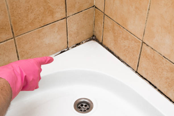 Crawl Space Mold Removal in Oriole Beach, FL
